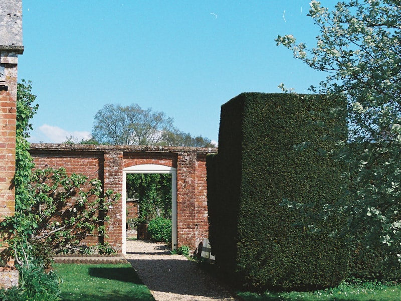 A neat, freshly mown lawn
