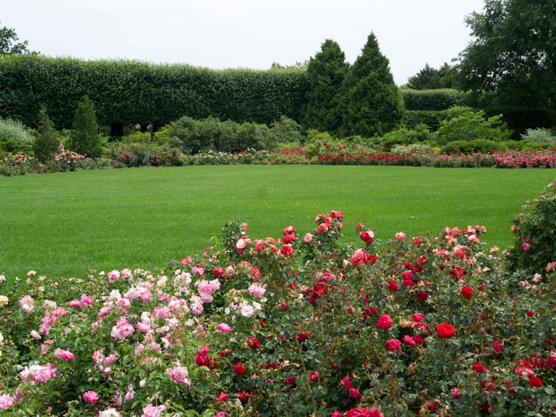Well-kept lawn and borders